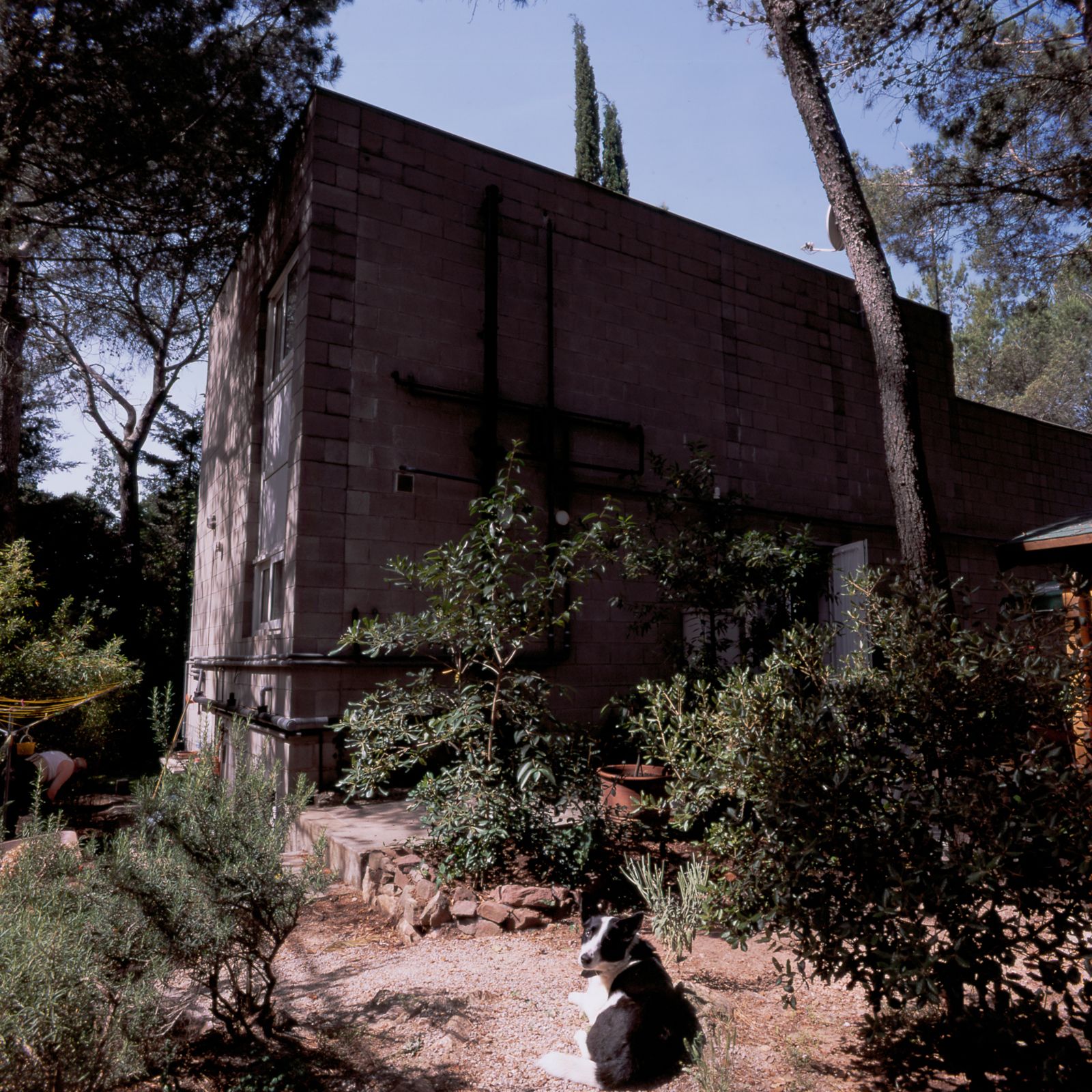 Exterior view of a concrete block house surrounded by lush greenery, with a dog lying on the ground in the foreground and trees providing shade in the background.