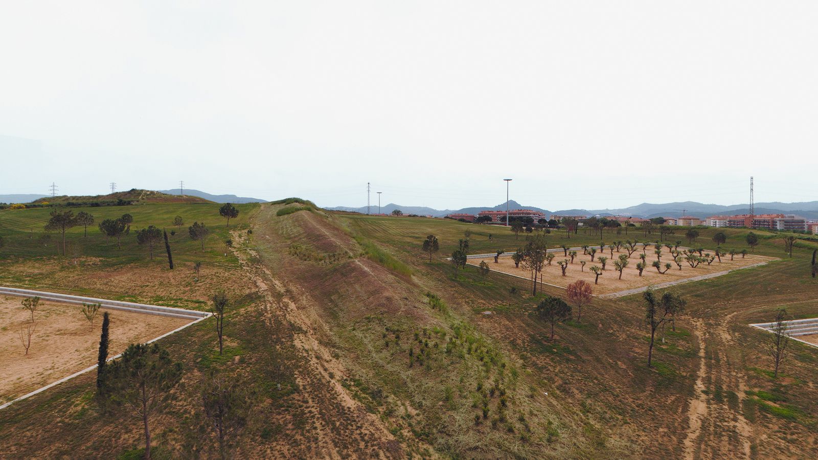 Vista panorámica en picado del Parc dels Pinetons, que muestra una cresta central de tierra y hierba que divide parcelas abancaladas con plantaciones de árboles jóvenes, bordeada por edificios residenciales lejanos y colinas bajo un cielo nublado.