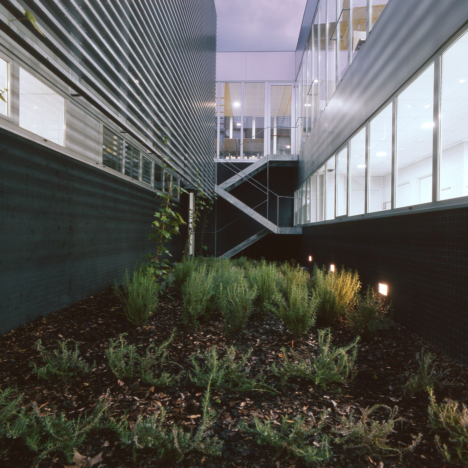 Fotografía arquitectónica de un patio interior con jardín al anochecer. El primer plano muestra una zona ajardinada con corteza y pequeños arbustos iluminados por focos tenues. El espacio está delimitado por una fachada de paneles metálicos corrugados a la izquierda y una franja continua de vidrieras iluminadas a la derecha, con una estructura de escalera exterior metálica en zigzag al fondo.